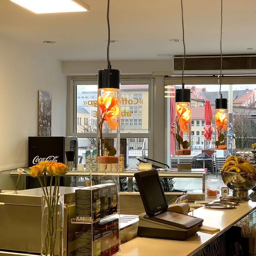 s.luce MyLight pendant lamp with display cylinder 40cm