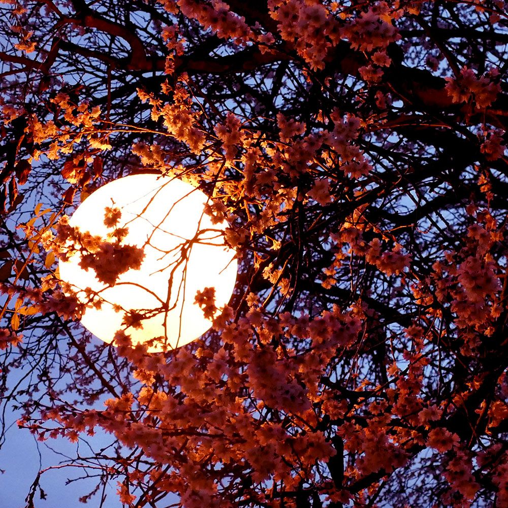 s.luce Globe pendant ball lamp for indoor & outdoor IP54