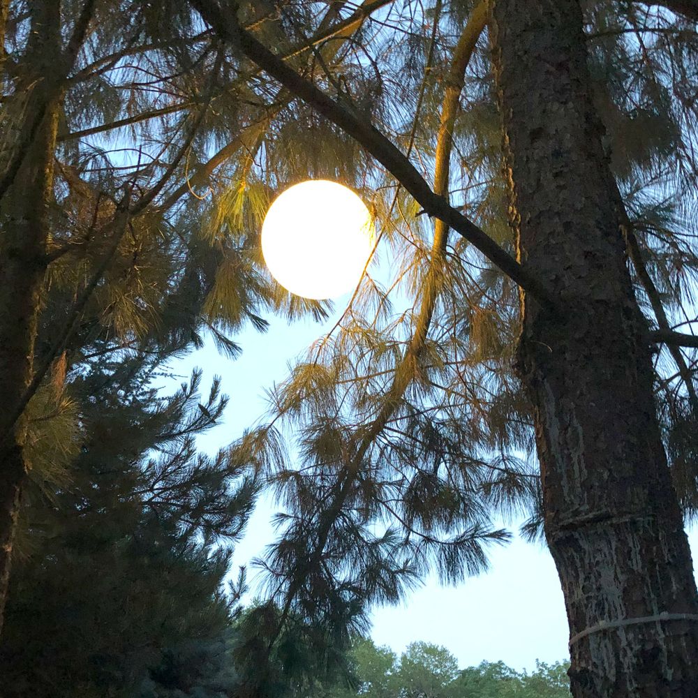 Lampa wisząca kulista s.luce Globe do wnętrz i na zewnątrz IP54